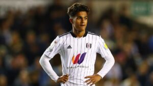 ราคาบอล UFABET